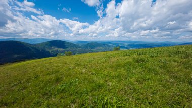 yatay yaz yeşil çayır