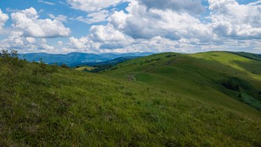 Yazın yeşil çimenler ve bulutlu mavi gökyüzü