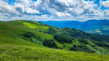 Karpat dağlarında güzel yeşil dağlar