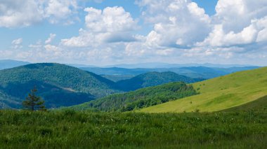 Yeşil çimenli ve mavi gökyüzü olan dağ manzarası