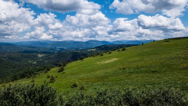 Güneşli bir günde Karpat Dağları 'nın güzel manzarası