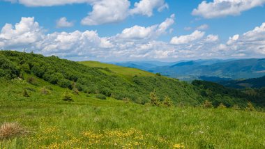 Yeşil çimenler ve mavi gökyüzü ile yaz dağı manzarası