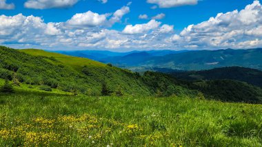 yeşil çayır ve yaz günü dağlar