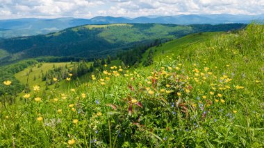 Dağlarda yaz manzarası