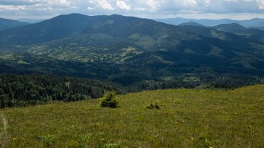 Yaz dağları ve yeşil çimenler