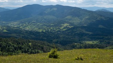 Karpat dağlarında güzel bir yaz manzarası, güneşli bir gün.