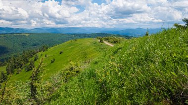 Dağ manzarası. Yaz günü. Karpatlar 'ın kuzeyindeki dağlar..