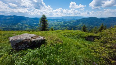 Arkasında dağlar olan güzel bir yaz manzarası. Ukrayna. Karpat Dağları, Avrupa