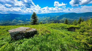 Karpatlar manzarada yaz