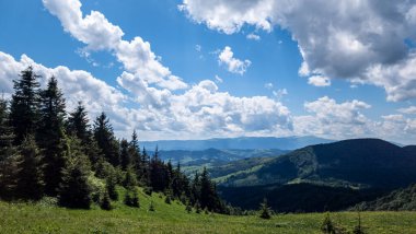 Ukrayna, Avrupa 'daki Karpatlar' ın yaz manzarası