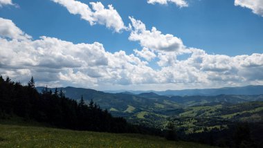 Karpat Dağları yeşil otlarla kaplı