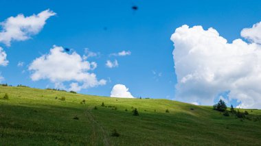 yeşil çayır ve arka planda dağlar