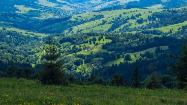 Karpat Dağları 'ndaki güzel manzara