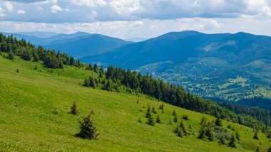güzel yaz dağ manzarası.