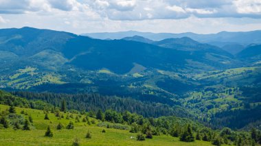 Karpat Dağları 'nda yeşil dağlarla kaplı yaz manzarası