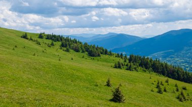 Yazın dağın güzel manzarası.