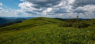 güzel yaz peyzaj Karpat Dağları