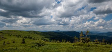 güzel yaz dağ manzarası.