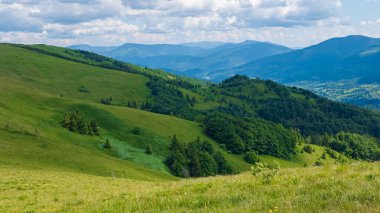 Ukraynalı Karpatların yaz manzarası