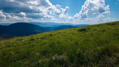 Ukrayna 'daki güzel yaz dağları