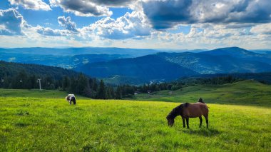 Dağların güzel manzarası