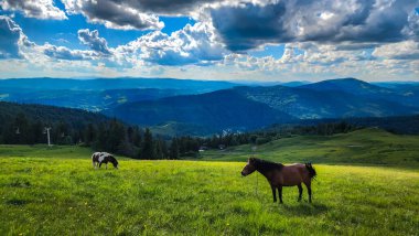 Dağlarda atı olan güzel bir manzara.