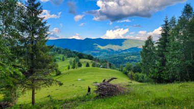 Karpat Dağlarının yaz manzarası