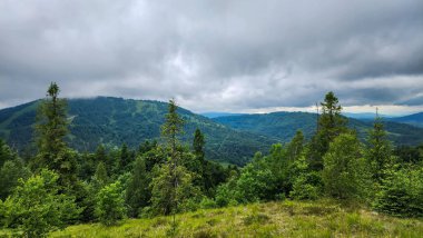 Yeşil orman ve dağlardan oluşan güzel bir manzara.