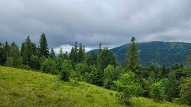 Karpatlar 'daki güzel dağ manzarası