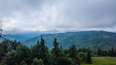 Yazın dağın tepesinden güzel manzara