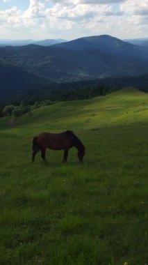 Doğanın güzel manzarası