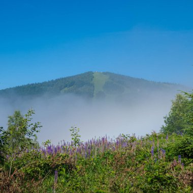 Dağlardaki sis yüzünden. Güneş bulutların arasından ışıldar. Yaz manzarası.