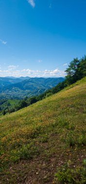 Arkasında bir dağ olan güzel bir manzara.