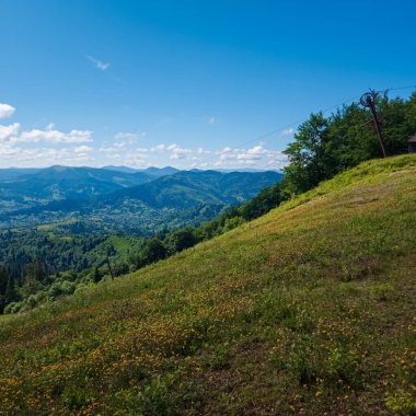 Yeşil çimenli, ormanlı ve dağlı bir arazi.