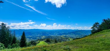 Karpatlar 'daki yeşil ağaçların ve dağların panoramik görüntüsü