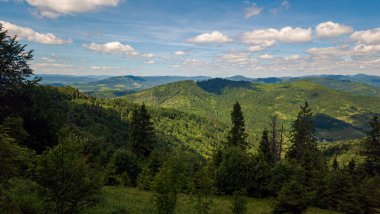 Karpat Dağları Yazın güneşli havada
