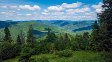 Güzel dağ manzarası. Karpat, Ukrayna