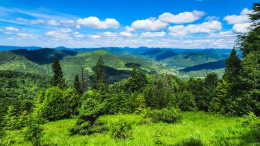 Yaz dağı manzarası. Karpatlar 'daki dağlar. ukraine