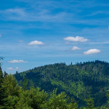 Yazın Karpat Dağları 'nın güzel manzarası