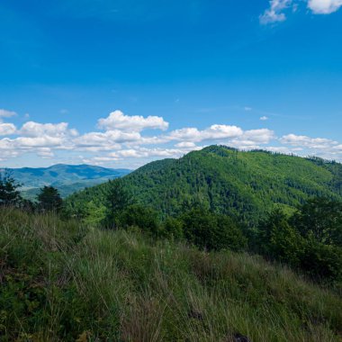Ukraynalı Karpat Dağları'nın peyzaj