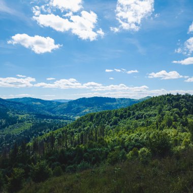 Mavi gökyüzü ile yaz manzarası