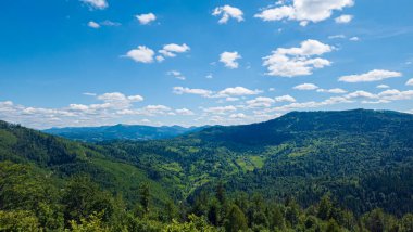Güzel dağ manzarası. Yaz dağı manzarası. Güney Karpatların Dağları.