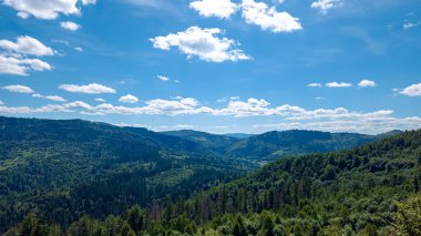 Yazın ağaçlarla çevrili bir dağ manzarası