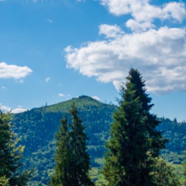 Bir yaz günü Karpatlar 'daki dağların manzarası