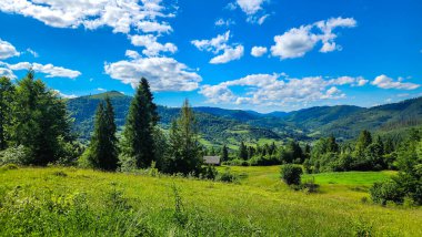 Yeşil çimenler ve mavi gökyüzü olan yaz manzarası