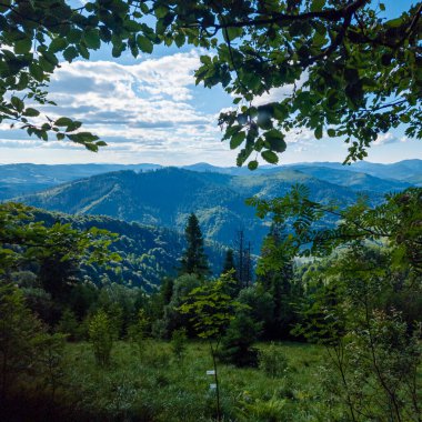 Güzel bir dağ manzarasının dikey görüntüsü