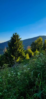 Arka planda bir dağ ve nehir olan güzel bir manzara.