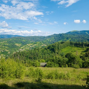 Yazın güzel Karpat dağları manzarası