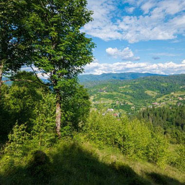 paesaggio estivo nelle montagne dei Carpazi