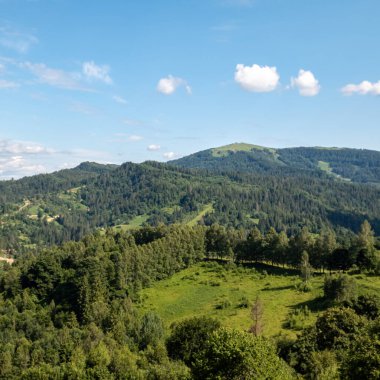 Yeşil vadi manzarası ve ormanlı ağaçlar